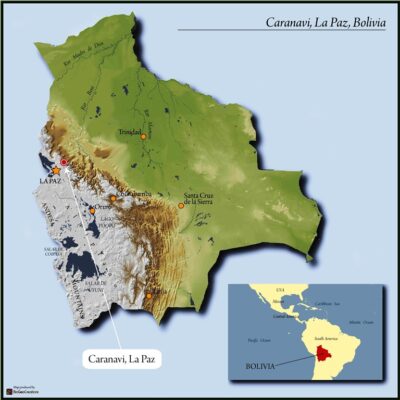 BOLIVIA FT-FLO ORGANIC COOP SAN JUAN 