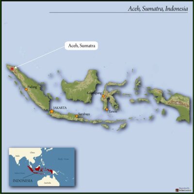 SUMATRA ORGANIC BENER MERIAH BURNI TELONG GRADE 1 