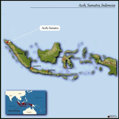 SUMATRA ORGANIC MANDHELING GRADE 1 