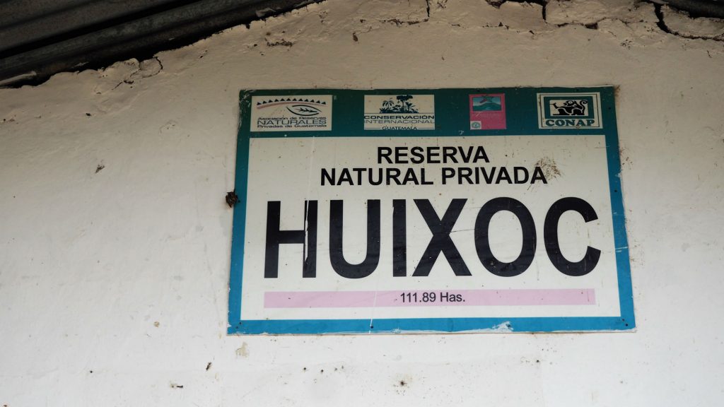Jose Alejandro Solis Huixoc Bourbon, Caturra, Catuai, and Mundo Novo La Democracia, Huehuetenango, Guatemala
