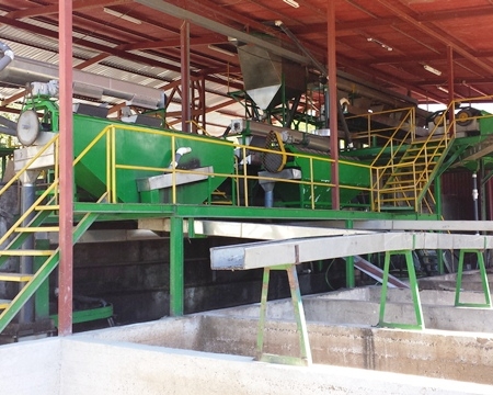 Caturra, Catuai Roberto Montero Coto Brus, Puntarenas, Costa Rica