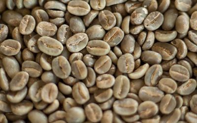 How Long Do Green Coffee Beans Last? 