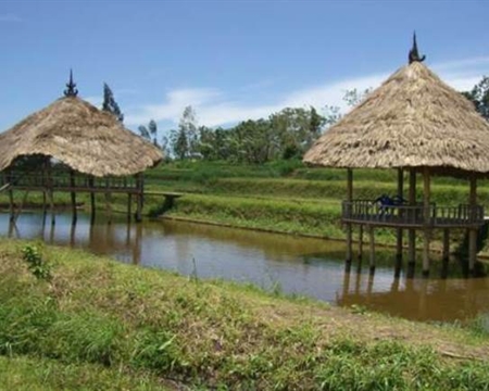 Bourbon Blue Moon Typica, and Catimor Subak Abian Kintamani Highlands of Central Bali, Indonesia