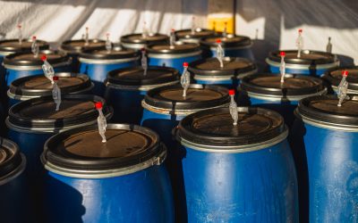 Best of Panama Drops a Bombshell