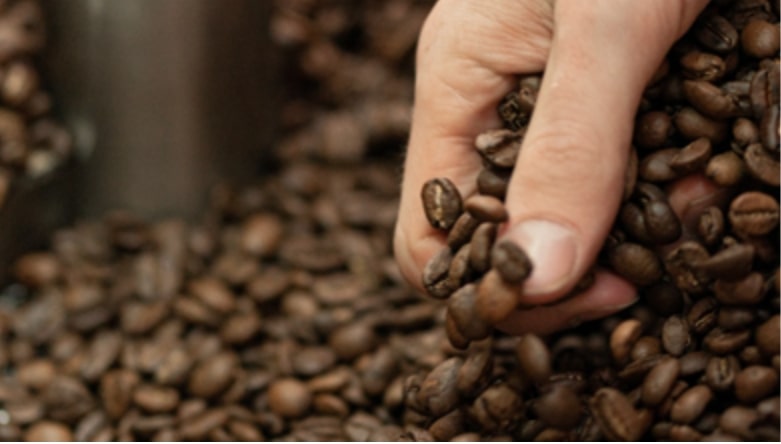 The Roaster’s Practical Guide to Coffee Blending Hand sifting roasted beans