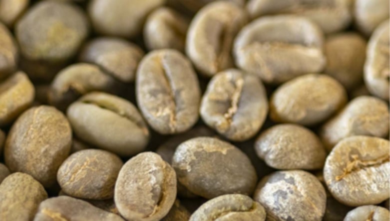 Green Coffee Glossary Green coffee beans