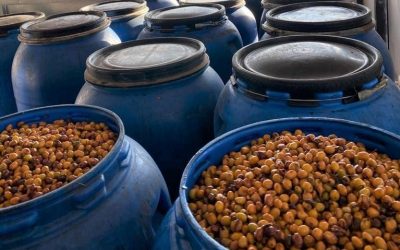 Excerpt: Additive Fermentation: “Infused” Coffee is Gaining Popularity and Sparking Industry Debate”