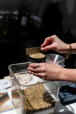 analyzing green coffee beans