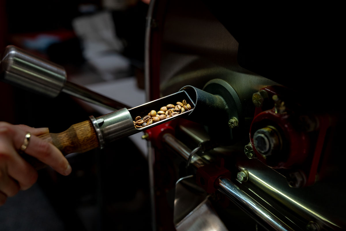 sample roasting consultation