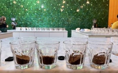 Freezing Green Coffee: An Evaluation of the Impact on Sensory Quality Over Time