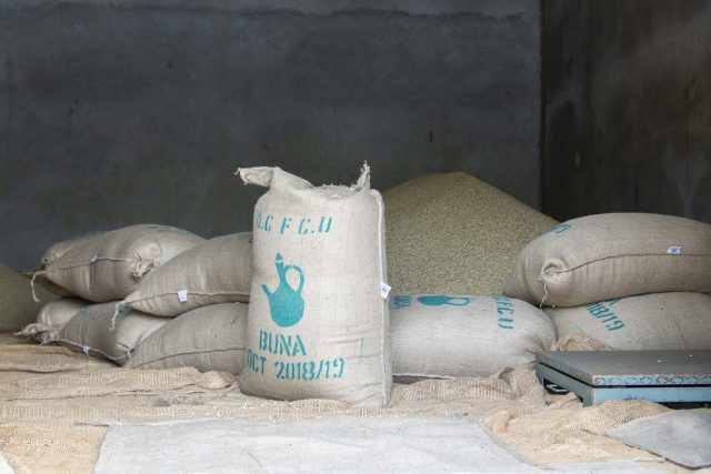 Bags of packed green coffee beans in Oromiya, Ethipia 