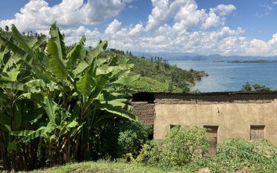 Green Coffee Report – Rwanda’s Coocamu Cooperative 2023