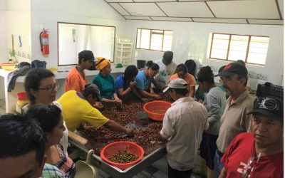 A Take on the Fairtrade Price Increase