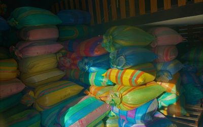 What Does Smallholder Farmgate Coffee Pricing Look Like?