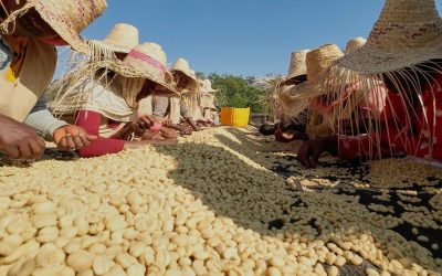 Empowering Women at Origin: Ethiopia