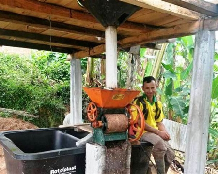 Caturra, Castillo, and Typica Huila, Colombia Caturra, Castillo, and Typica