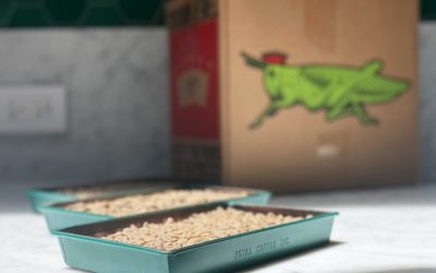 Buying Green Coffee 101