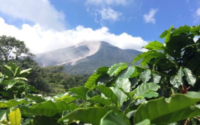 Guatemala: Hardship & Hope