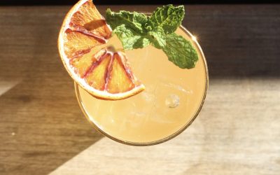 Fermentation Year in Review