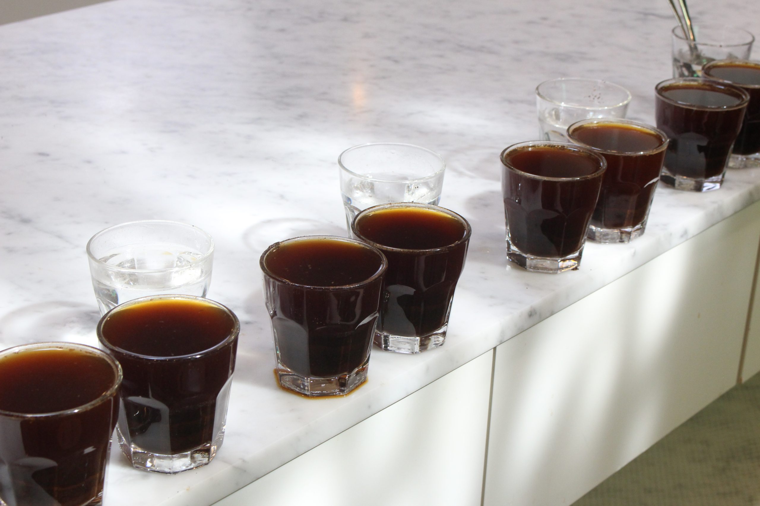 coffee cupping top tier coffee cupping