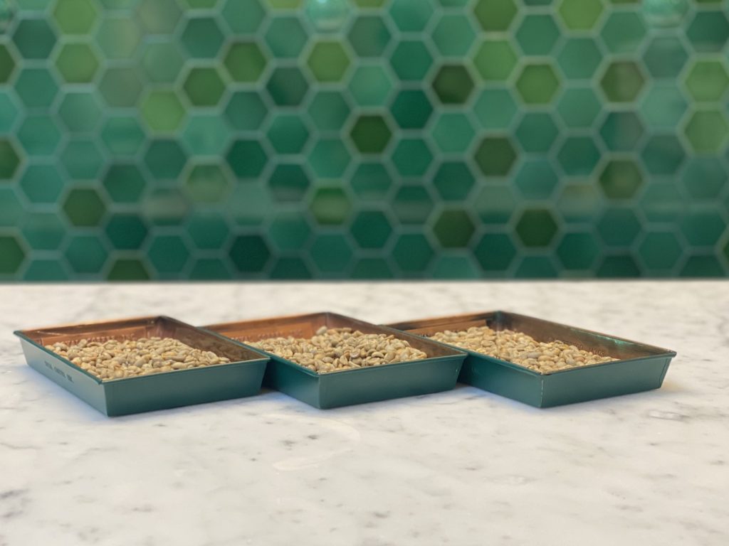 green coffees in trays green coffees in trays