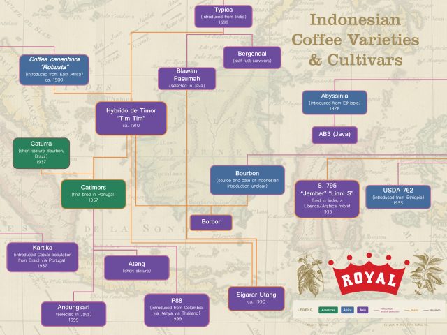 Indonesian Coffee Cultivars and Varieties