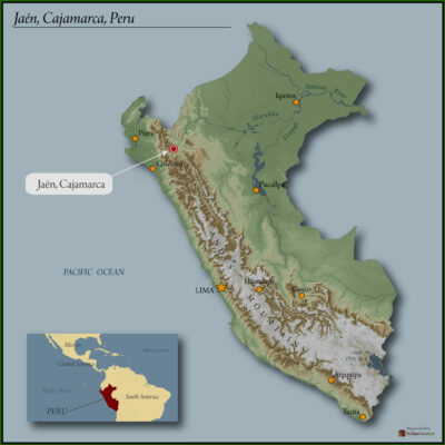 PERU ORGANIC SELVA ANDINA 