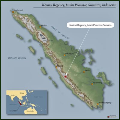 Sumatra Kerinci Gunung Tujuh Wet Hulled 