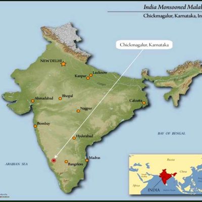 India Monsoon Malabar AA 