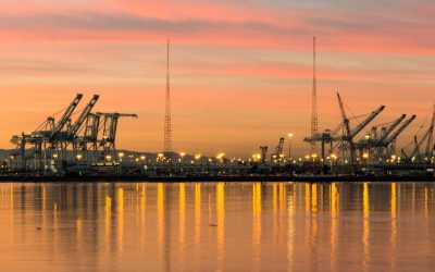 Year to Date C Market Recap