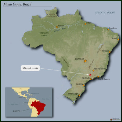 BRAZIL ORGANIC FAZENDA DUTRA NATURAL RED CATUAI 15+ 