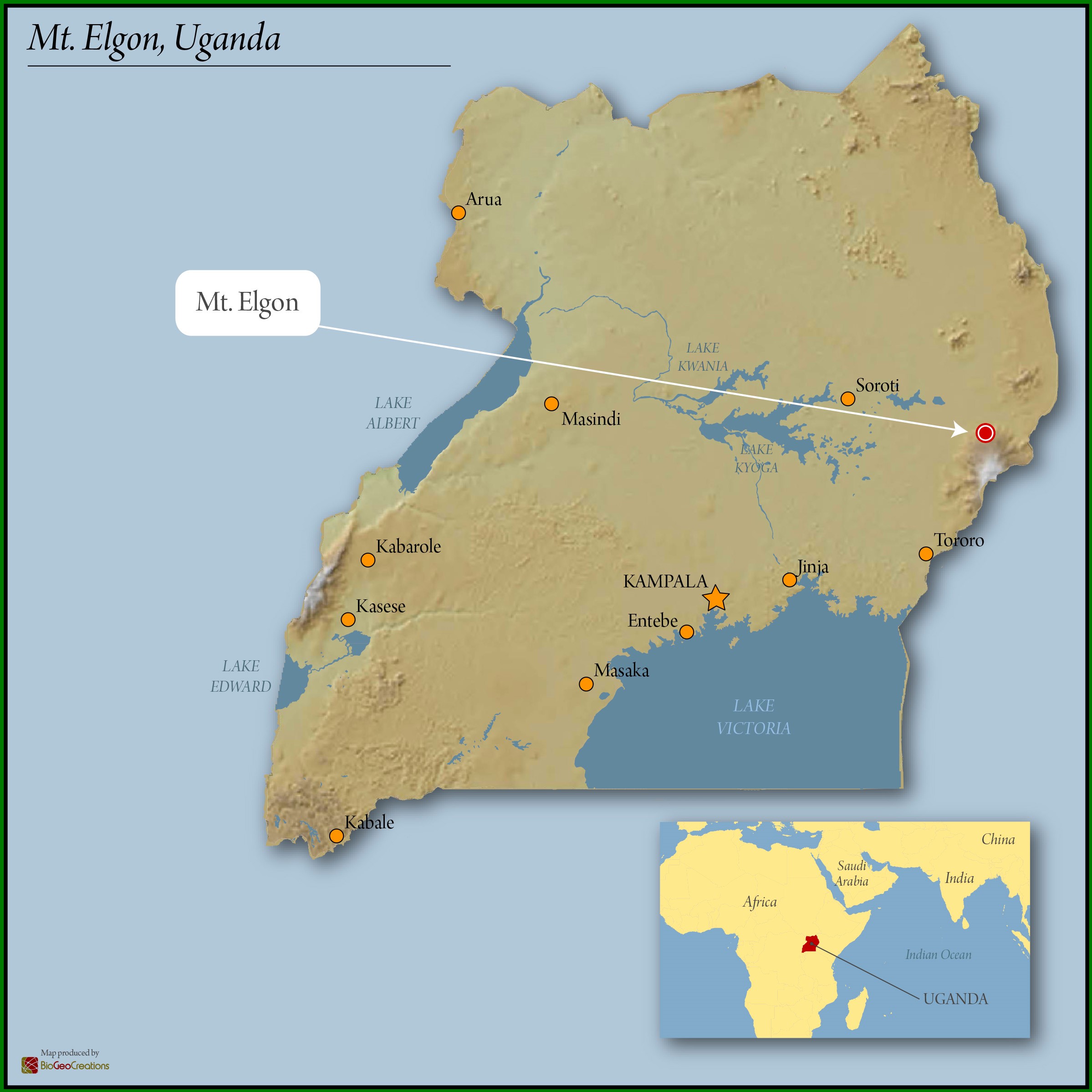 UGANDA FT-FLO ORGANIC A+ 