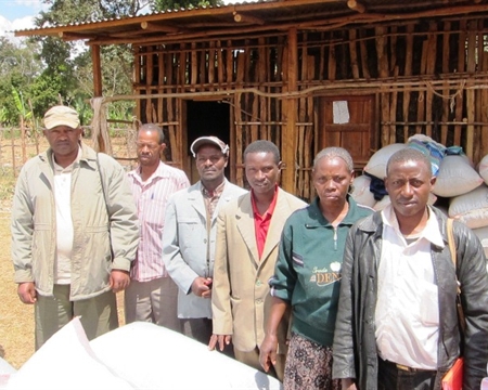 Indigenous heirloom cultivars Worka Cooperative Gedeo Zone, Ethiopia