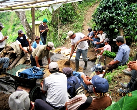 Norandino Piura, Caturra, Bourbon, Catuai, Pache, Villa Sarchi, and Catimor Amazonas, Cajamarca, and San Martin regions, Peru