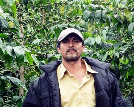 peru norte San Ignacio, CENFROCAFE Bourbon, Catimor, Caturra, Mundo Novo, Pache, and Typica Cajamarca