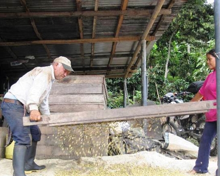 peru norte San Ignacio, CENFROCAFE Bourbon, Catimor, Caturra, Mundo Novo, Pache, and Typica Cajamarca