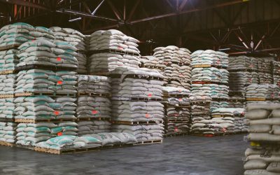 Managing Green Inventory Part I: Physical Inventory