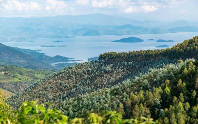 A look at our Rwanda lineup