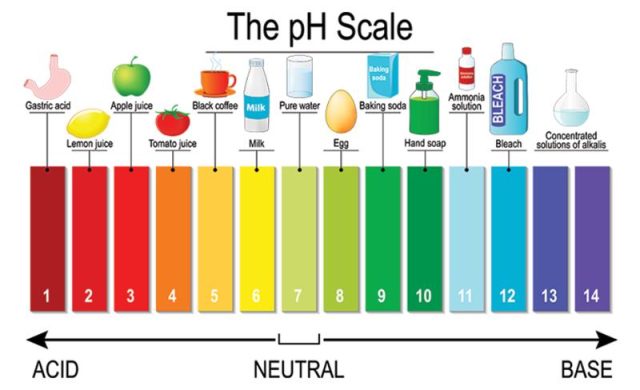 the ph scale