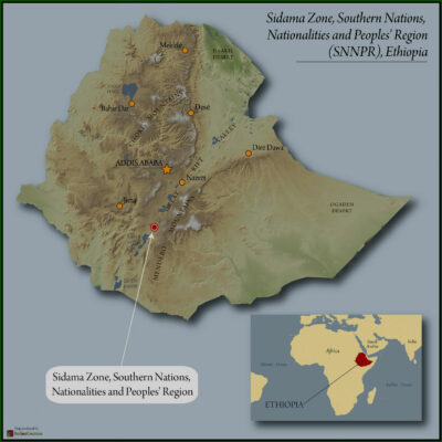 DECAF ETHIOPIA ORGANIC SIDAMA 3 NATURAL ROYAL SELECT SWISS WATER PROCESS 