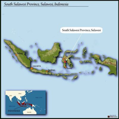 SULAWESI ORGANIC RANTEKARUA NATURAL 