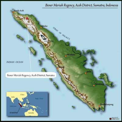 SUMATRA FT-USA ORGANIC BUANA MANDIRI MANDHELING GRADE 1 