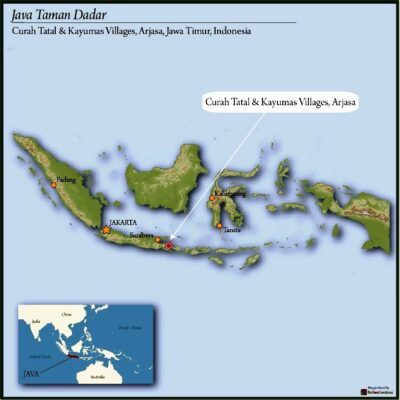 JAVA ORGANIC KAYUMAS TAMAN DADAR WET HULLED 