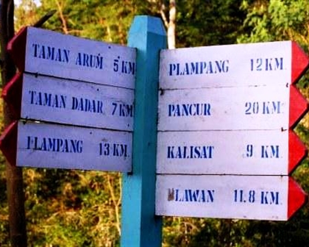 Typica Curah Tatal & Kayumas villages located on the Ijen Plateau in Eastern Java, Indonesia