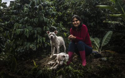 Facing Machismo: a Producer’s Perspective