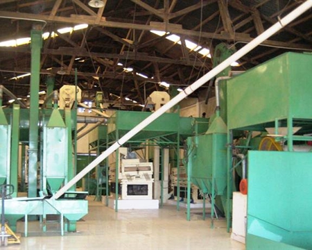 Ainaro, Ermera, and Lequisa, East Timor Bourbon Cooperativa Café Timor (CCT)