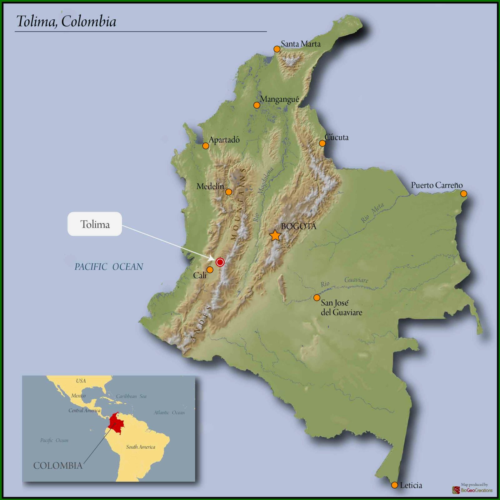 COLOMBIA ORGANIC TOLIMA WOMENS COFFEE 