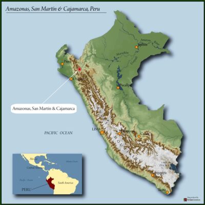 Peru Vida Alta SHB EP 