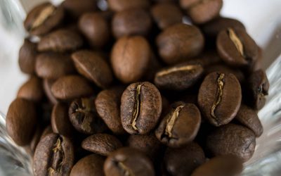 The Relationship Between Water Activity and the Maillard Reaction in Roasting