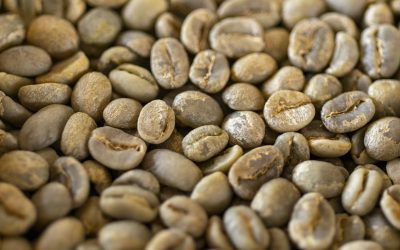 Royal Coffee’s Green Coffee Menu: Best Sellers and Common Coffee Types